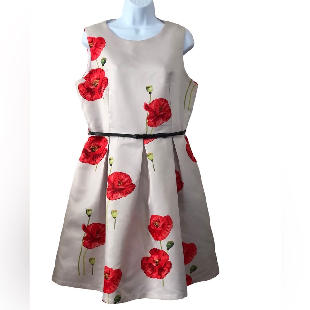 Smashed Lemon Red Poppy Fit & Flare Belted Sleeveless Dress